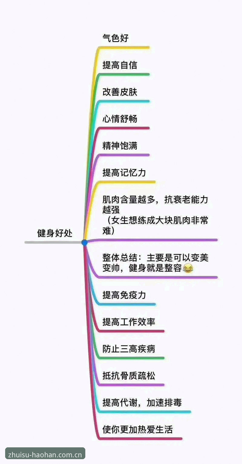 为什么越来越多人选择用运动精神重塑热爱格调？从数据到APP体验的深度解析